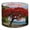 Color 4, variant on Beach Linen Drum Lampshades flamboyant sea royal poinciana tree birds pictures 13"x13"x10" Light Shade for Table Lamps Floor Lamps Drum Lamp Shades Lampshade Replacement Assembly Required