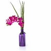 Orchid In Tall Glass - Purple