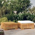 thumbnail image 1 of vidaXL 2 Piece Garden Lounge Set Solid Wood Teak, 1 of 5