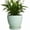 Mint Green, variant on Wliror 6 Inch Mint Green Ceramic Plant Pot with Drainage – Cool Pastel Planter for Indoor Plants, Succulents, Herbs