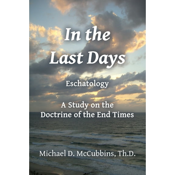In the Last Days (Paperback)