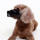 thumbnail image 4 of para perro para perro suave y transpirable Malla potable para mascotas antiladridos Lick Beige Colco Hocico duradero, 4 of 8