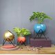 thumbnail image 3 of Modern Round Metal Flower Vase With Succulent Plant Stand Decorative Indoor And Outdoor Flowerpot (orange), 3 of 3