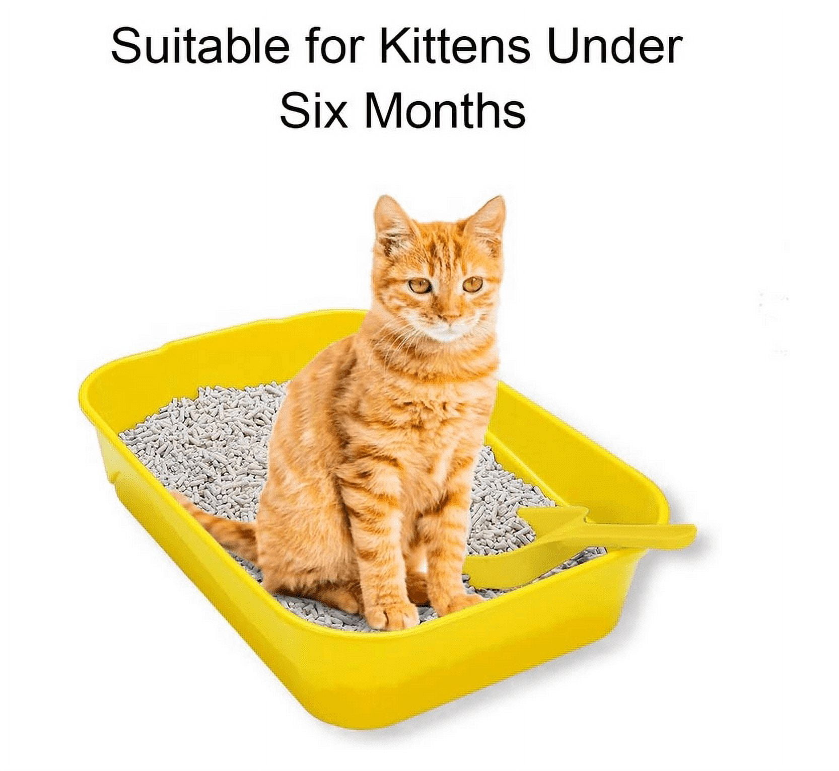 GreenJoy Kitty Litter Box Starter Kit - Without Lid Cat Litter Pan, Mat, Scoop and Bowl for Kitten