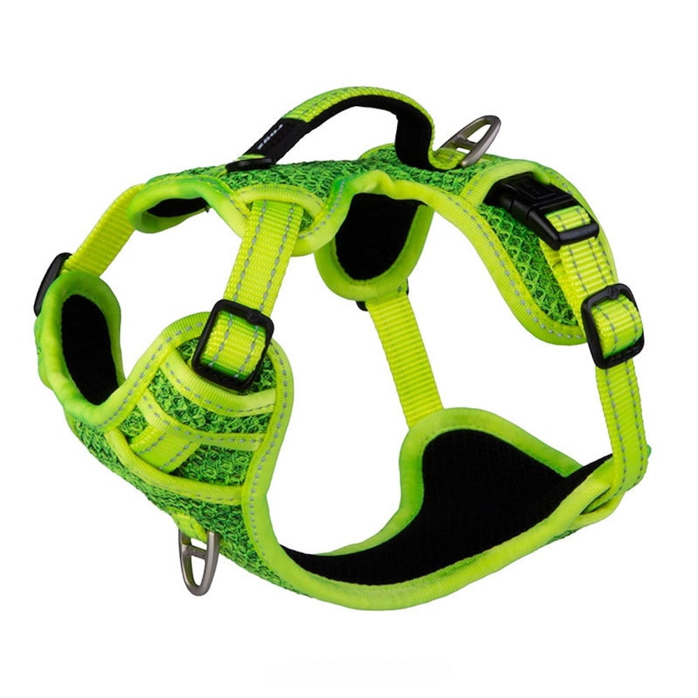 rogz explore harness price