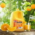 thumbnail image 4 of Bebida Yaqui sabor naranja 3.785 l, 4 of 4