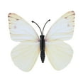 Beautiful Colourful Butterflies Cling Window Stickers Help Prevent Birdst Decor 2024 Home