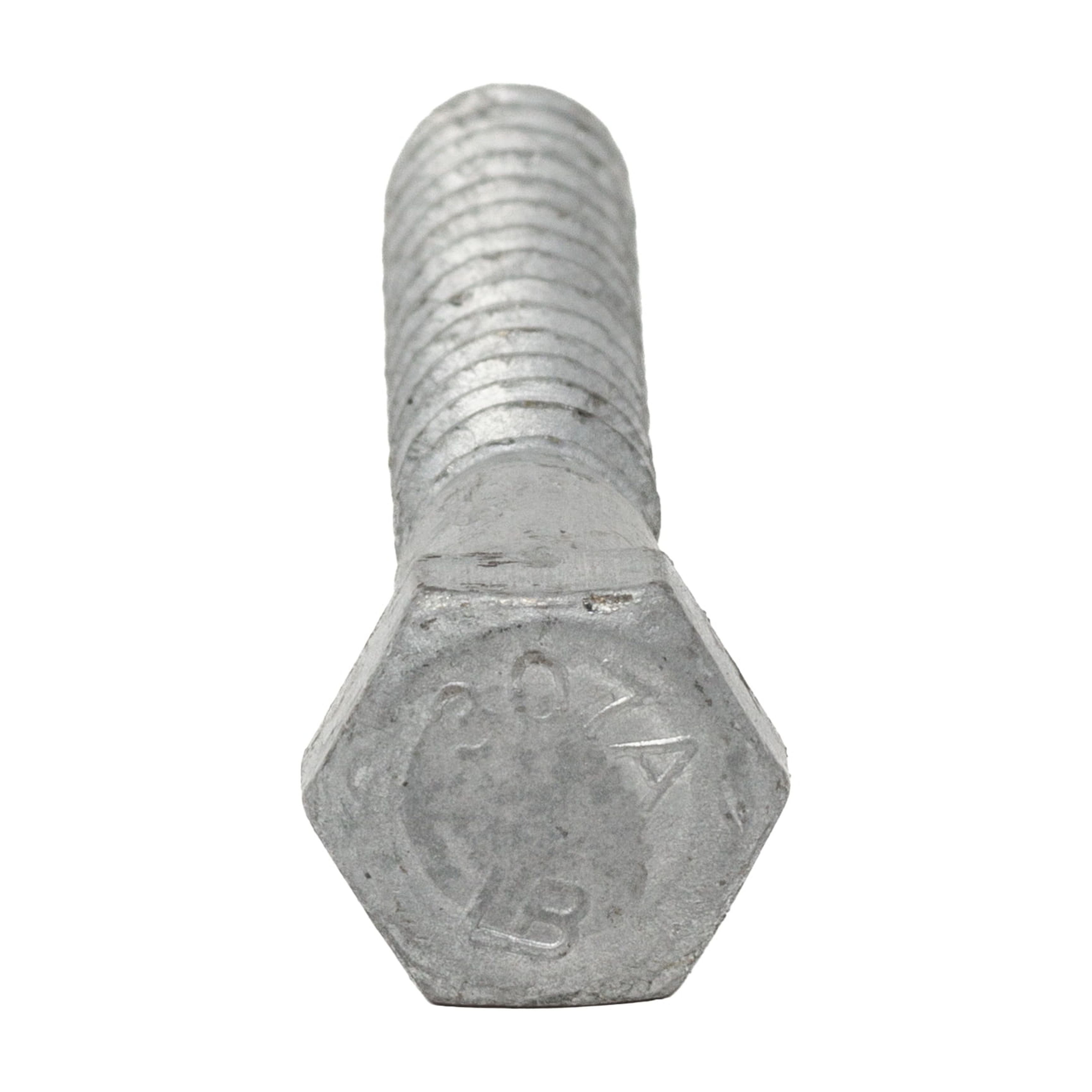 5/16" x 2-1/2" Hot Dipped Galvanized Lag Screws, Grade A, Quantity 100- by Fastener Depot, LLC