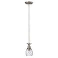 thumbnail image 1 of Hinkley 5317PL Leaf, Flower, Fruit One Light Pendant from Plantation Collection in Pwt, Nckl, B/S, Slvr.Finish,, 1 of 2