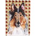 thumbnail image 1 of Caroline's Treasures SC9670CHF Collie Automne Feuilles Drapeau Toile, Grand, Multicolore, 1 of 5