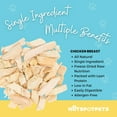 hotspot pets Freeze Dried Chicken Treats for Cats & Dogs Single