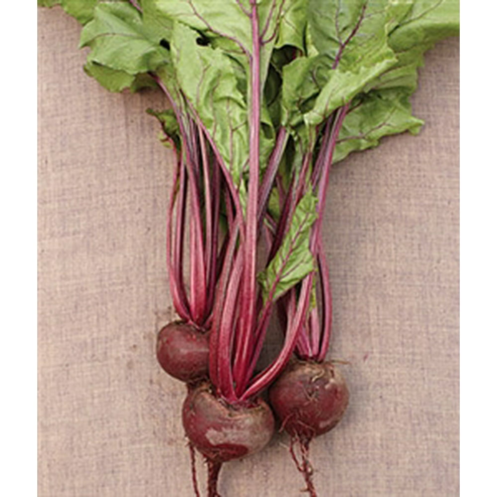 Beets Early Wonder Seed 1 Packet