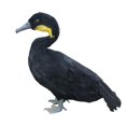 thumbnail image 3 of Figuras de aves de corral artificiales para jardín, gallo, pollo, , Cola Figuras de aves de corral artificiales, 3 of 5