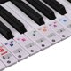 thumbnail image 1 of Pegatinas de piano de color para teclados 88/76/61/54/49/37 teclas; Excelente herramienta visual esquí esquí Gafas de esquí, 1 of 5