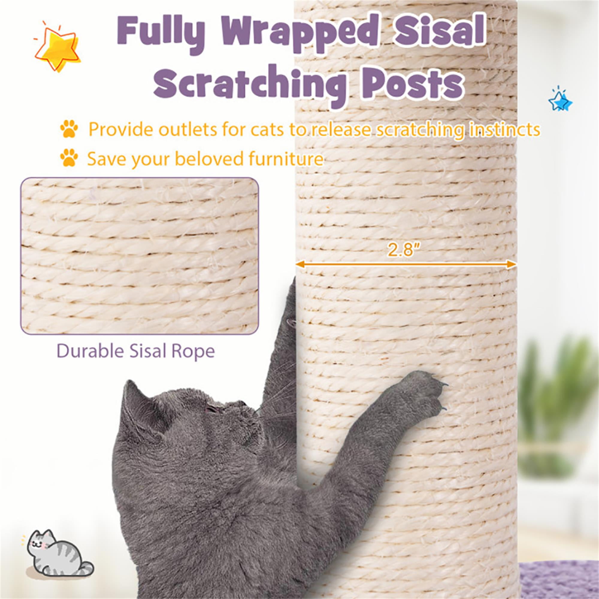 Kadyn 62" Cute Cat Tree Tower for Indoor Cats, Moon and Star Cat Condo with Sisal Scratching Posts, Plush Perches, Kitten Cat Tree Tower Activity Center, Purple