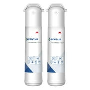 Pentair FreshPoint F2B2-RC2 Carbon Replacement Water Filter Twin Pack