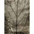 thumbnail image 2 of Villa, Milli 19x24 Black Ornate Wood Framed with Double Matting Museum Art Print Titled - Path, 2 of 4