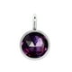 thumbnail image 1 of Piedra de nacimiento, diamantes de imitación, cristal, joyería de acero inoxidable, accesorios DIY, decoraciones colgantes, colgantes de Ropa, zapatos y accesorios Miscelánea Morado oscuro Minnieouse AP010354-02B, 1 of 6