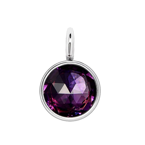 Piedra de nacimiento, diamantes de imitación, cristal, joyería de acero inoxidable, accesorios DIY, decoraciones colgantes, colgantes de Ropa, zapatos y accesorios Miscelánea Morado oscuro Minnieouse AP010354-02B
