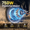 thumbnail image 3 of TakeMov Electric Bike for Adults, 750W Motor, 28MPH Class 3, 48V/15Ah, 7-Speed, 60 Miles, 20"x4" Fat Tire Ebike, E Mountain Bike, UL2849, 3 of 11