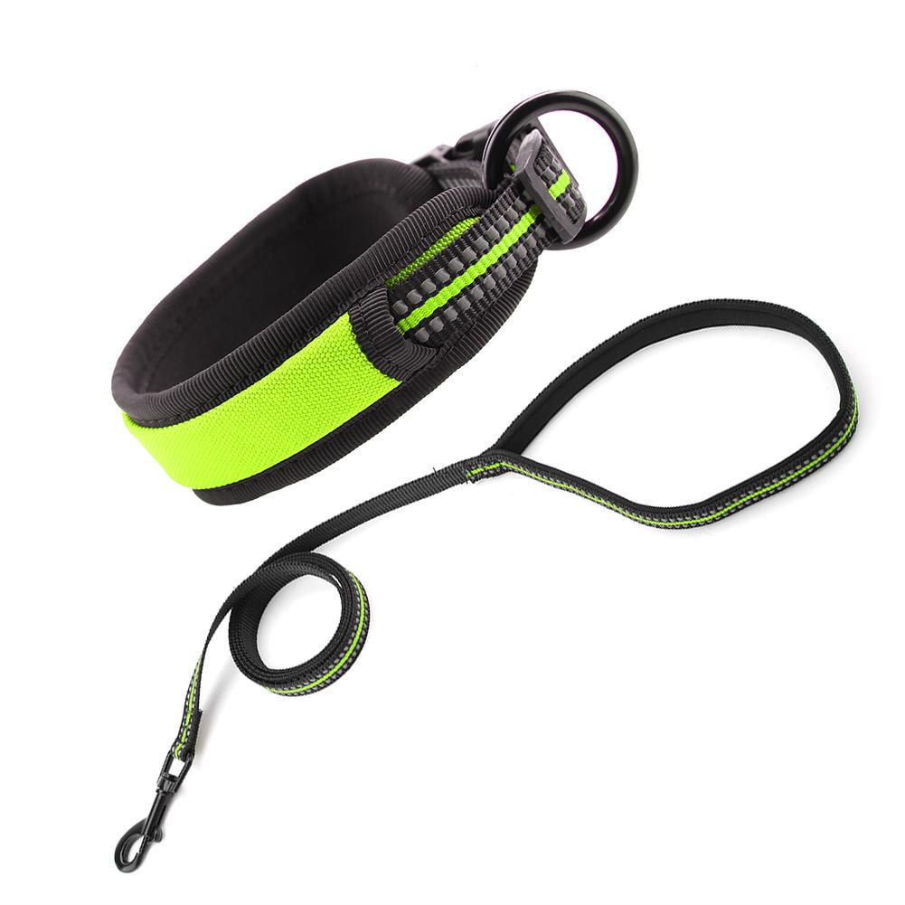 Kritne Antilost Dog Collar, Dog Collar, 9 Types Dog Collar Leash Mesh