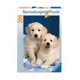 thumbnail image 1 of Rompecabezas Ravensburger Puzzle Perritos Blancos de 500 Piezas, 1 of 2