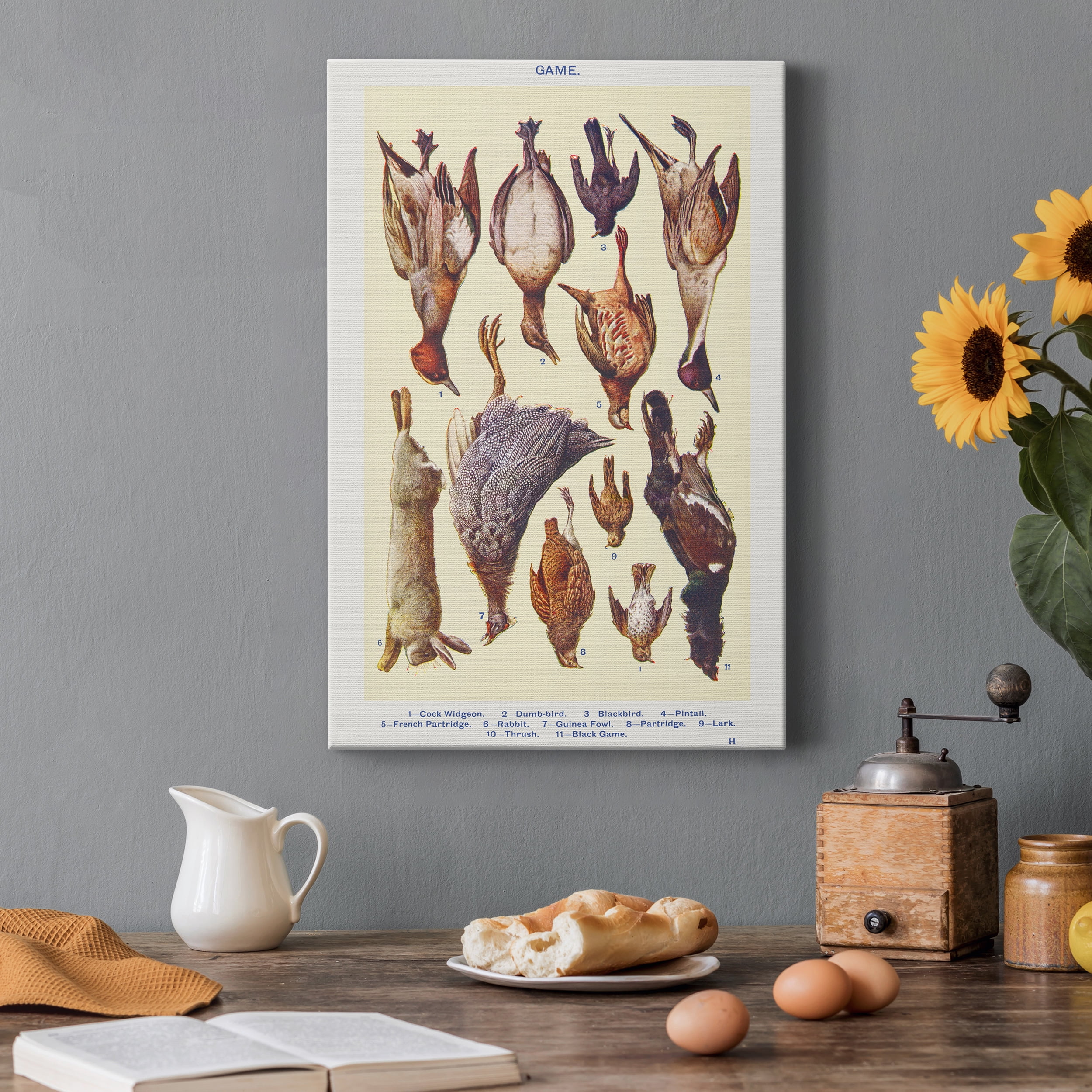 Game II Cock Widgeon, Dumb–bird, Blackbird, Pintail, French Partridge, Rabbit, Guinea Fowl, Partridge, Lark, Thrush, and Black Game Premium Gallery Wrapped Canvas - Ready to Hang - 8 x 12