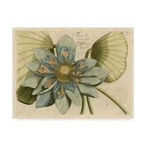 Trademark Fine Art 'Blue Lotus Flower I' Canvas Art by Vision Studio
