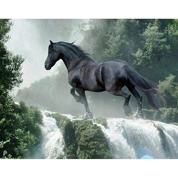 Dww-30x40 Cm Peinture Diamant 8d Diy Complet, Diamond Draw Round Diamond Black Horse, Diy Diamond Strass Toile Point De Croix Painting Par Numro Pour