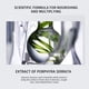 thumbnail image 3 of Productos para el cuidado del cabello Crema para cabello blanco aplanado Hidrata, suaviza y mejora el cabello encrespado, seco y dañado Crema para el cabello, 3 of 5