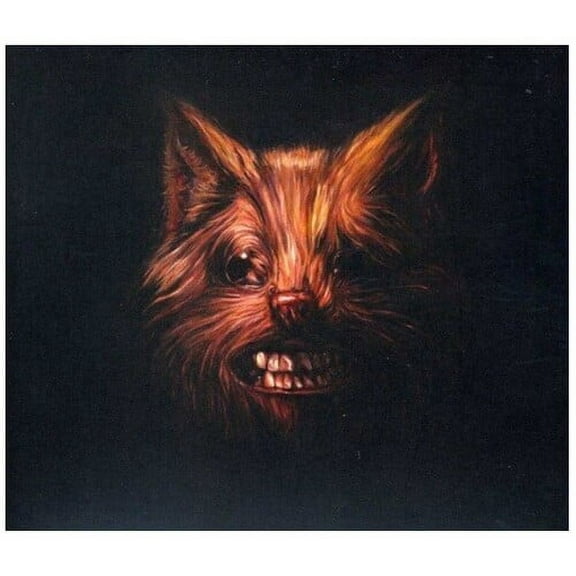 Swans - The Seer - Music & Performance - CD