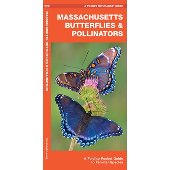 Massachusetts Butterflies & Pollinators : A Folding Pocket Guide to Familiar Species (Other)