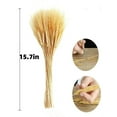 thumbnail image 6 of 100 Stems Dried Wheat Stalks for Decor, 15.7inch Wheat Sheaves Wheat Grass Decor Natural Wheat Bunch Wheat Decor Natural Wheat Stalks Dried Flowers for Home Wedding Table Farmhouse Decor, Natural, 6 of 6