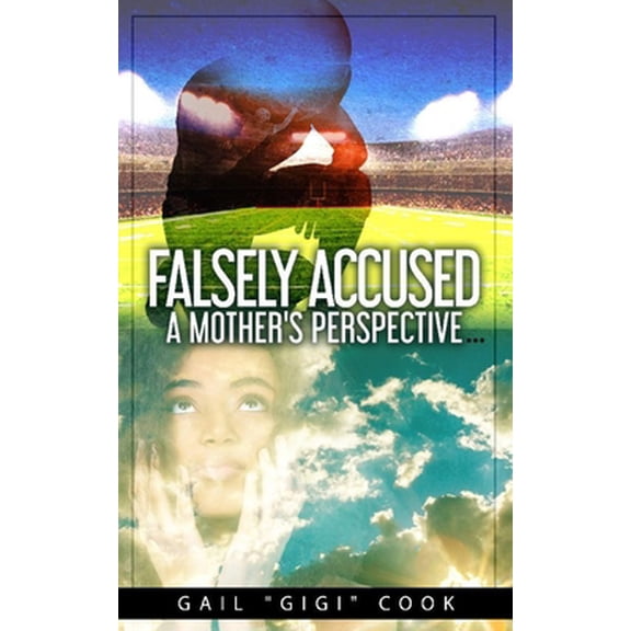 Pre-Owned Falsely Accused: A Mothers Perspective (Paperback) 0578726475 9780578726472