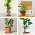 thumbnail image 4 of Plant Saucer, Plant Drip Trays, Plastic Plant Trays for Pots, Flower Pot Drip Trays for Indoors Outdoor, Flower Planters Trays, Terracotta, 6 Packs 8 Inches, 4 of 7