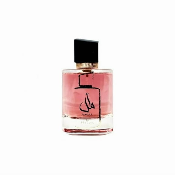Ard Al Zaafaran Unisex Amal EDP Spray 3.4 oz Fragrances 6423080722671
