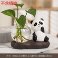 thumbnail image 2 of Shipiny Pandas Shape Hydroponic Vase Glassware, Clear Glass Planter for Fresh Flowers Hydroponic Plants, Cute Desktop Decorative Ornaments for Home Office Table Decor, A, 2 of 3