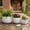 Ivory, variant on Decorative Metal Round Planters for Home Decor - Modern Flower Pots for Entryway, Living Room, or Office Accent - Indoor and Outdoor Garden Pots for Plants - Set of 3, 11", 10", 8", Gray and Gold