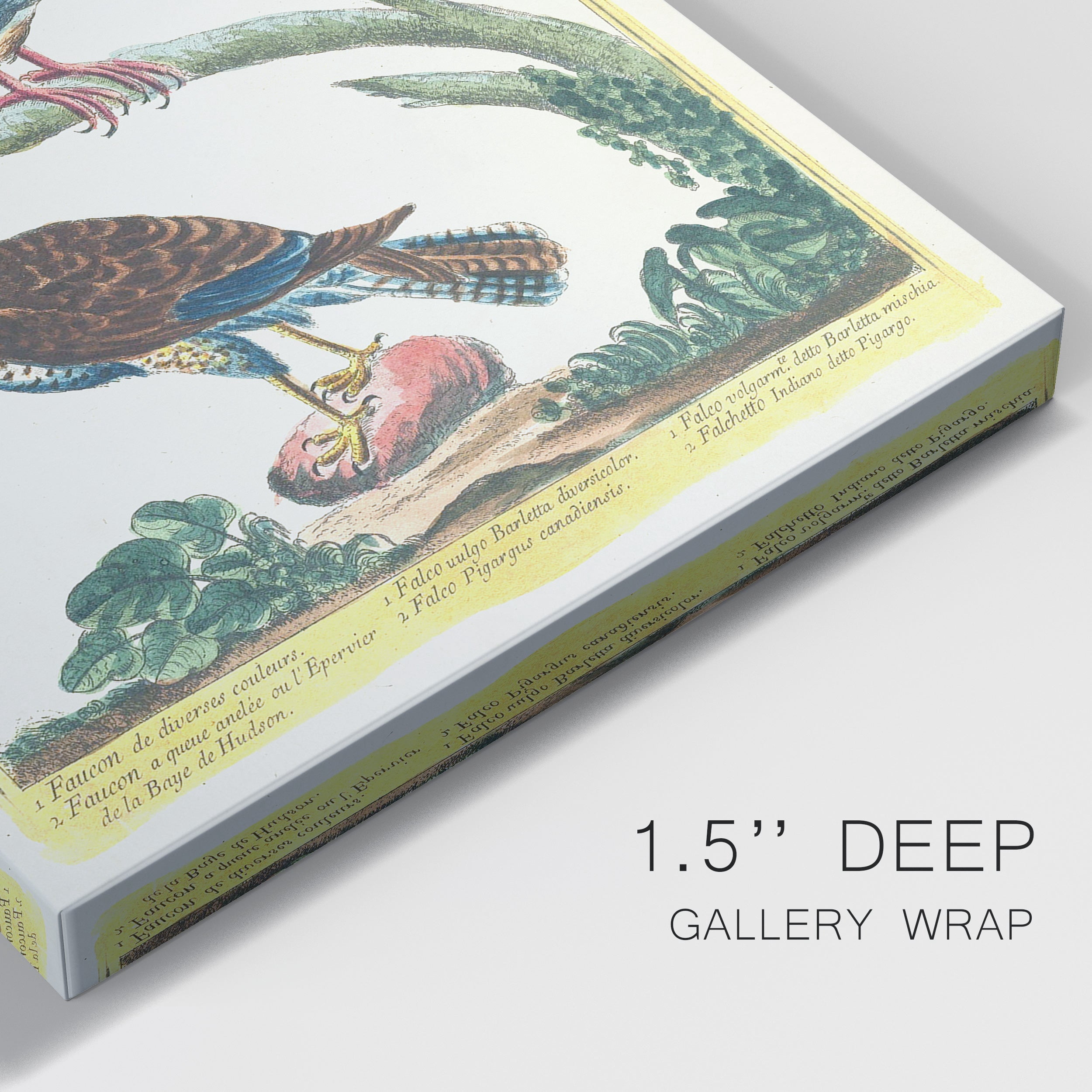 Pastel Birds III Premium Gallery Wrapped Canvas - Ready to Hang