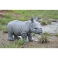 thumbnail image 5 of Hi-Line Gifts Standing Baby Rhino Outdoor Garden Statue - 20.25", 5 of 5