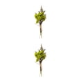 thumbnail image 4 of Ramo de Flores secas naturales Cateissary Elegancia atemporal arreglos de Flores y hojas secas HS-18, 4 of 6