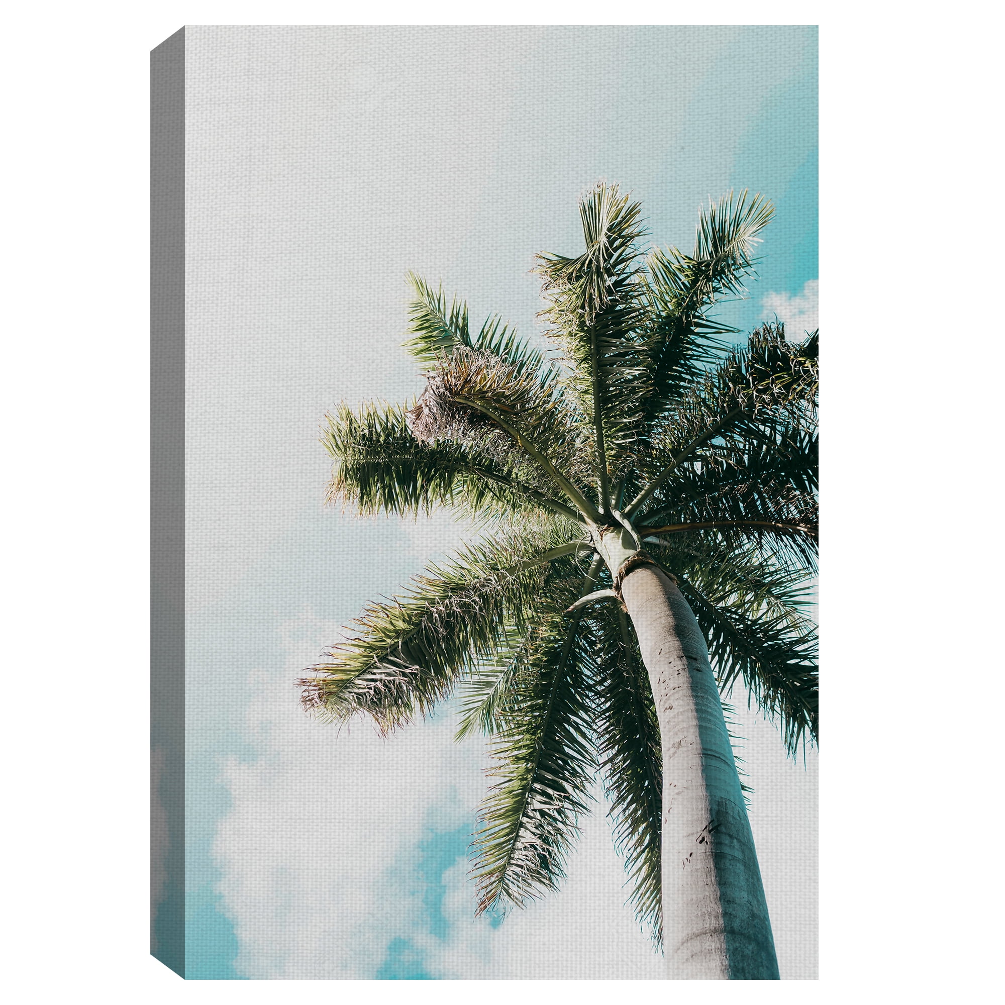 Masterpiece Art Gallery Skyward Palm Tree By Andrik Langfield Canvas Art Print 24" x 36"