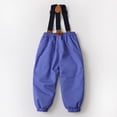 thumbnail image 5 of Hotiary 2-6Y Toddler Baby Boys Girls Winter Warm Thicken Bib Pants Windproof Ski Snow Pant With Pockets, 5 of 9