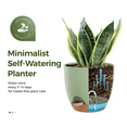 thumbnail image 5 of Indoor Self Watering Planters with Drainage Holes and Saucers, 8, 7, 6.5, 6, 5.5, 5 Inches, Green, 6 Pots, 5 of 6