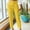 Yellow womens pants, variant on Usmixi Pants for Women Womens Suit Panst Business Casual Office Plus Size Straight Leg Blazer Long Pants Solid Mid Waist Pleated Pocket Trousers with Belt