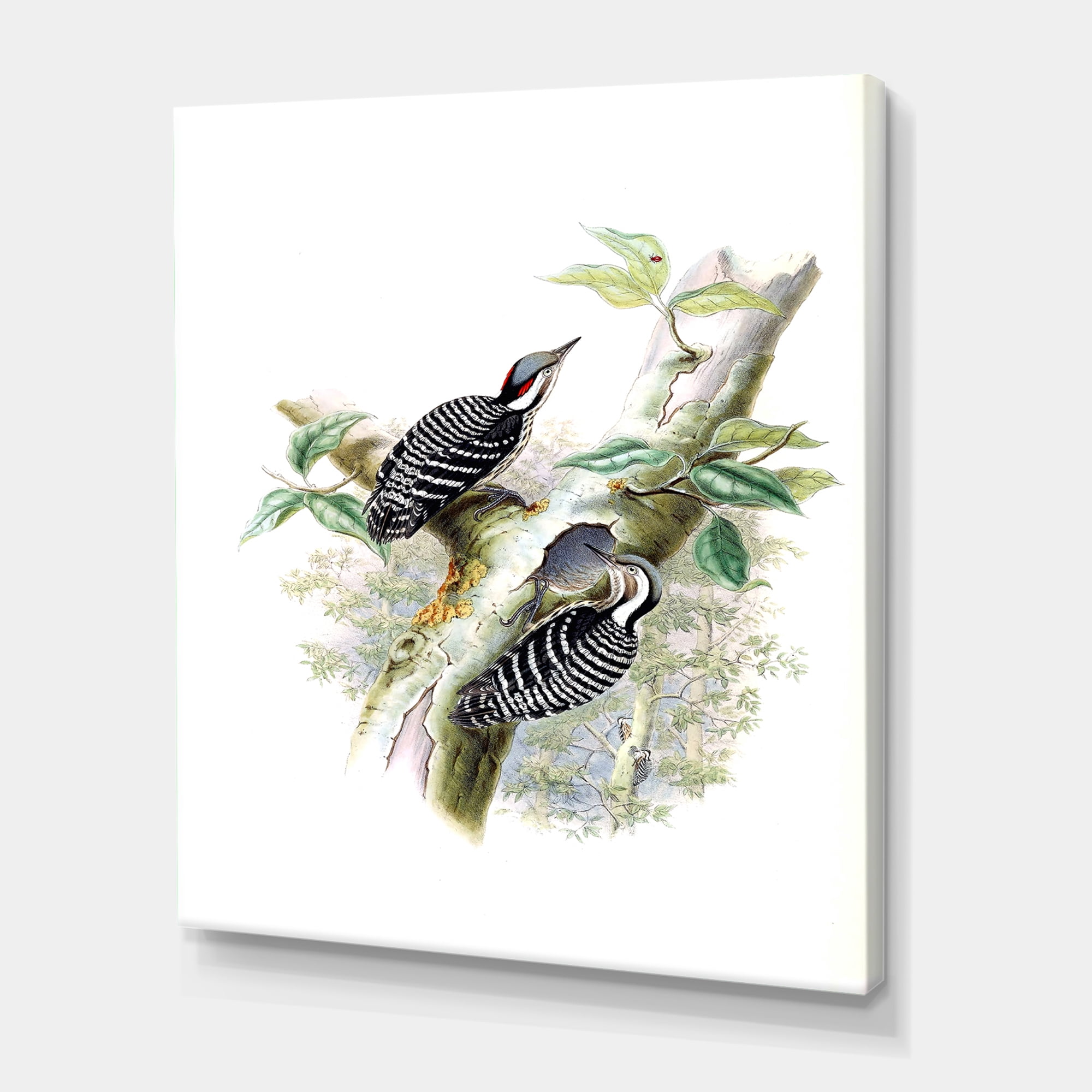 Designart ' Ancient Birds In The Wild V ' Traditional Canvas Wall Art Print
