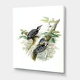 thumbnail image 3 of Designart ' Ancient Birds In The Wild V ' Traditional Canvas Wall Art Print, 3 of 4