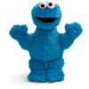 Sesame Street Cookie Monster Plush 14 INCH