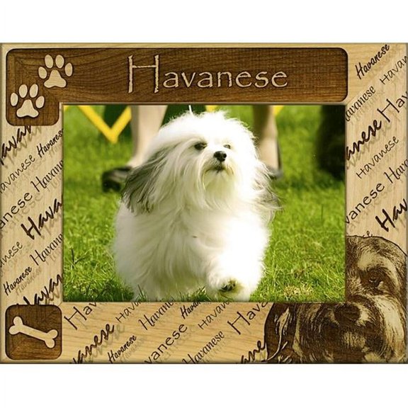 DBA0095 Havanese, Alder Wood Frame, 8 x 10 In