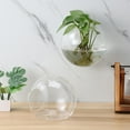 thumbnail image 3 of HONMEET 4-Pack Transparent Glass Wall for Indoor Plants, Modern Elegant Design, Easy to and Display, 3 of 8